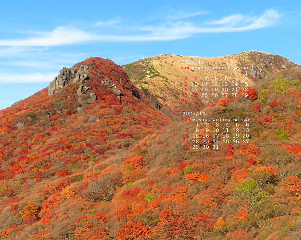 摜̏ŉENbNāuǎɐݒvAj[ɂȂꍇ͂摜ۑĉB