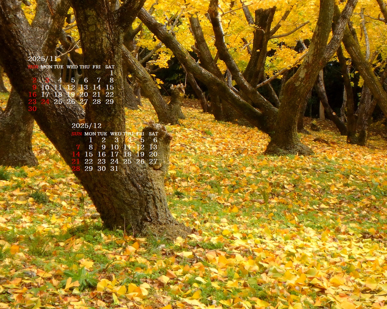 摜̏ŉENbNāuǎɐݒvAj[ɂȂꍇ͂摜ۑĉB