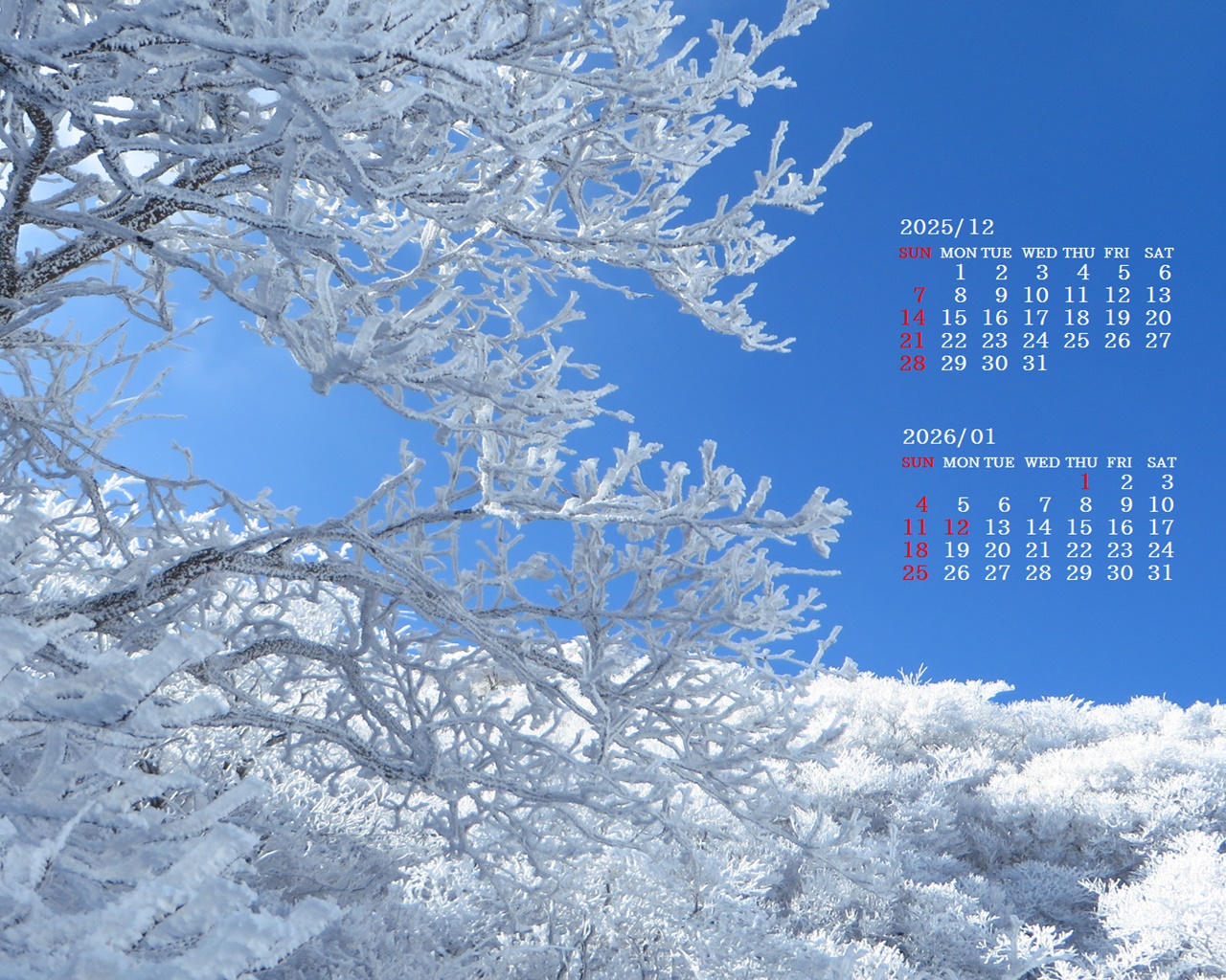 摜̏ŉENbNāuǎɐݒvAj[ɂȂꍇ͂摜ۑĉB