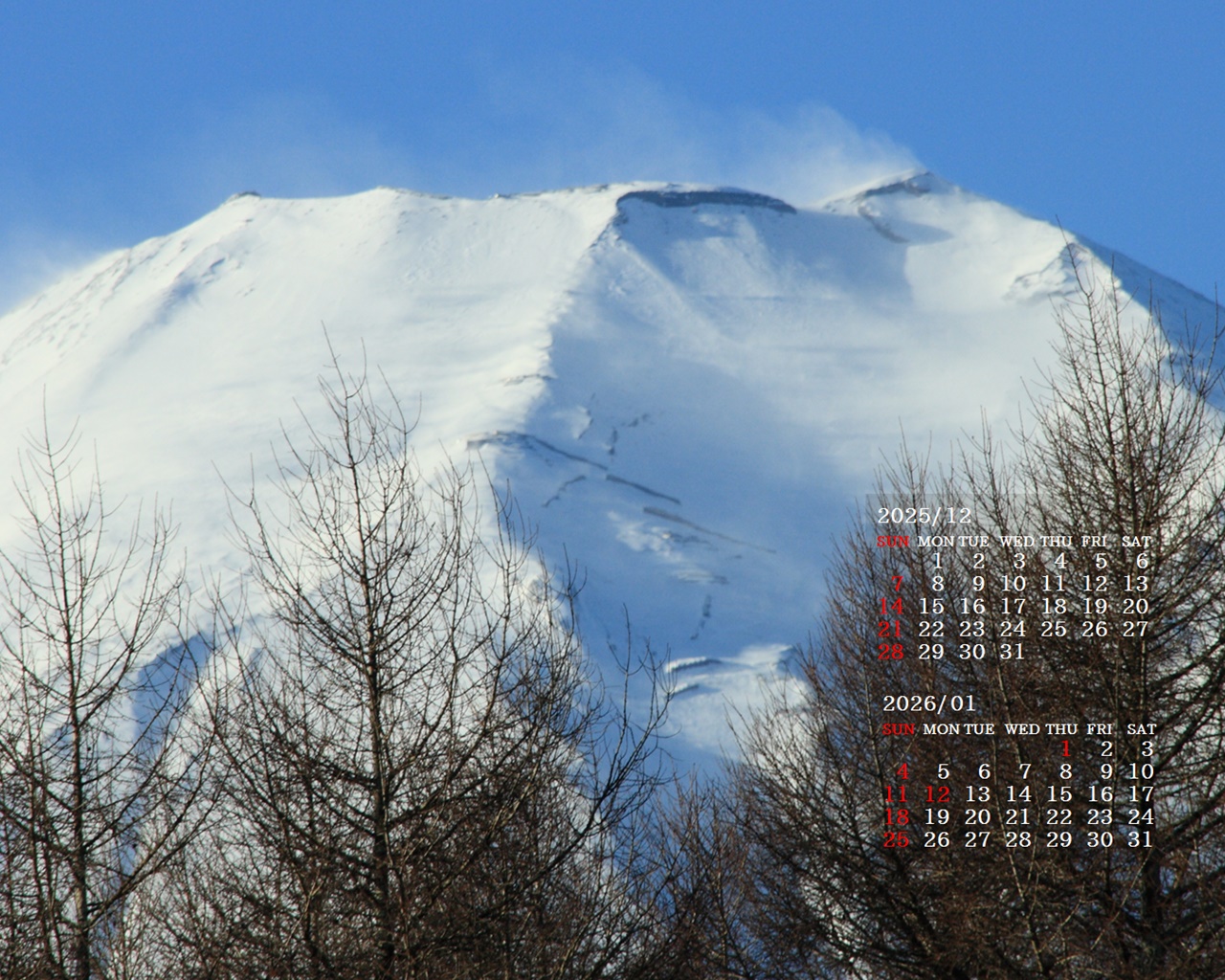 摜̏ŉENbNāuǎɐݒvAj[ɂȂꍇ͂摜ۑĉB