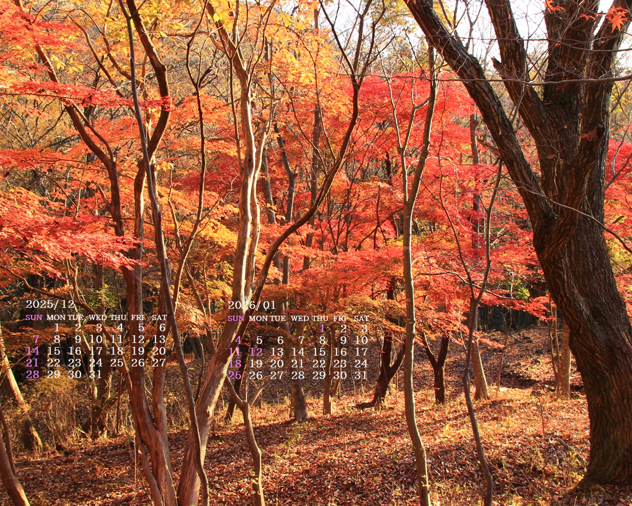 �摜�̏�ŉE�N���b�N���āu�ǎ��ɐݒ�v�A���j���[�ɂȂ��ꍇ�͂�������摜��ۑ����ĉ������B