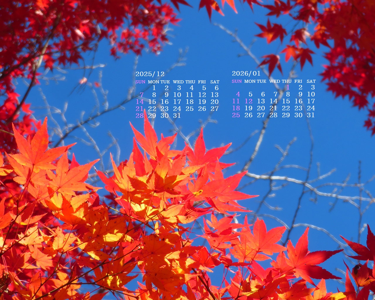 �摜�̏�ŉE�N���b�N���āu�ǎ��ɐݒ�v�A���j���[�ɂȂ��ꍇ�͂�������摜��ۑ����ĉ������B