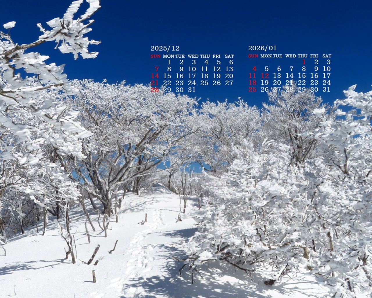 �摜�̏�ŉE�N���b�N���āu�ǎ��ɐݒ�v�A���j���[�ɂȂ��ꍇ�͂�������摜��ۑ����ĉ������B