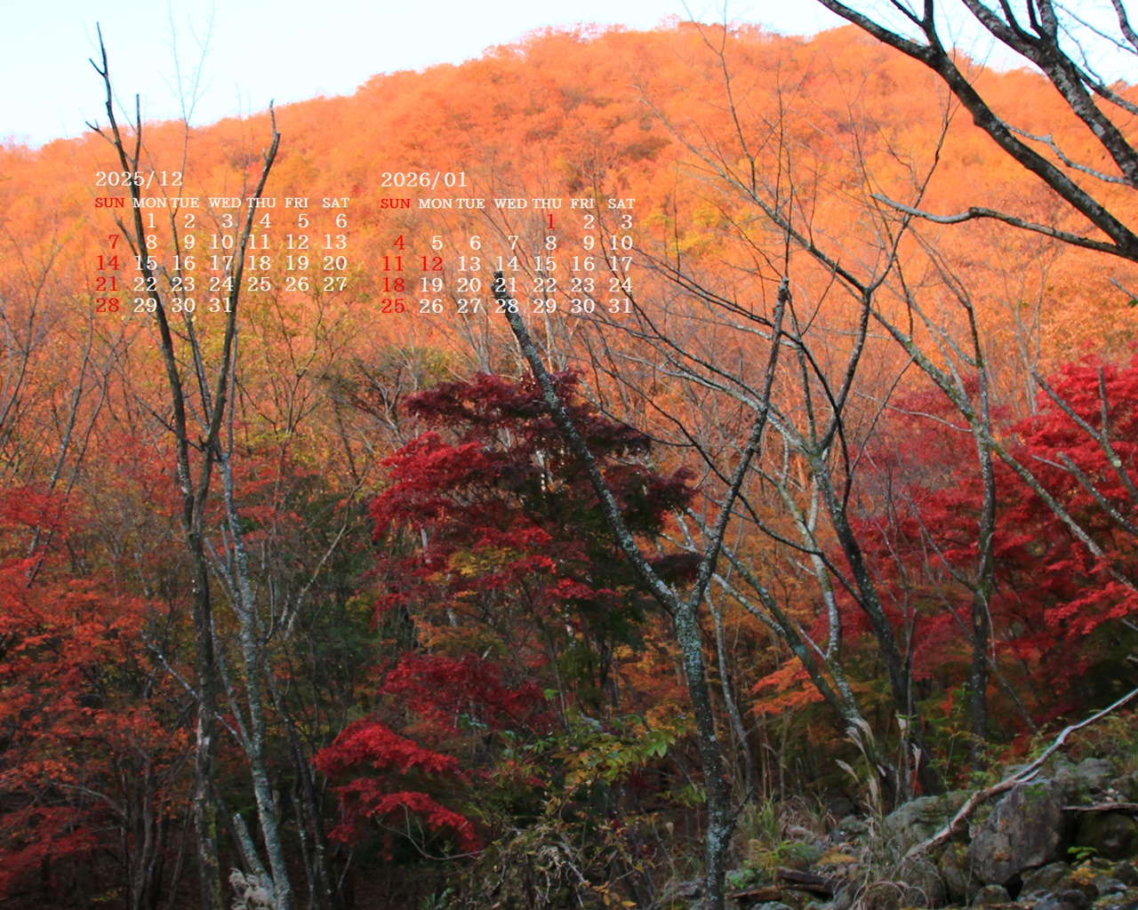 摜̏ŉENbNāuǎɐݒvAj[ɂȂꍇ͂摜ۑĉB