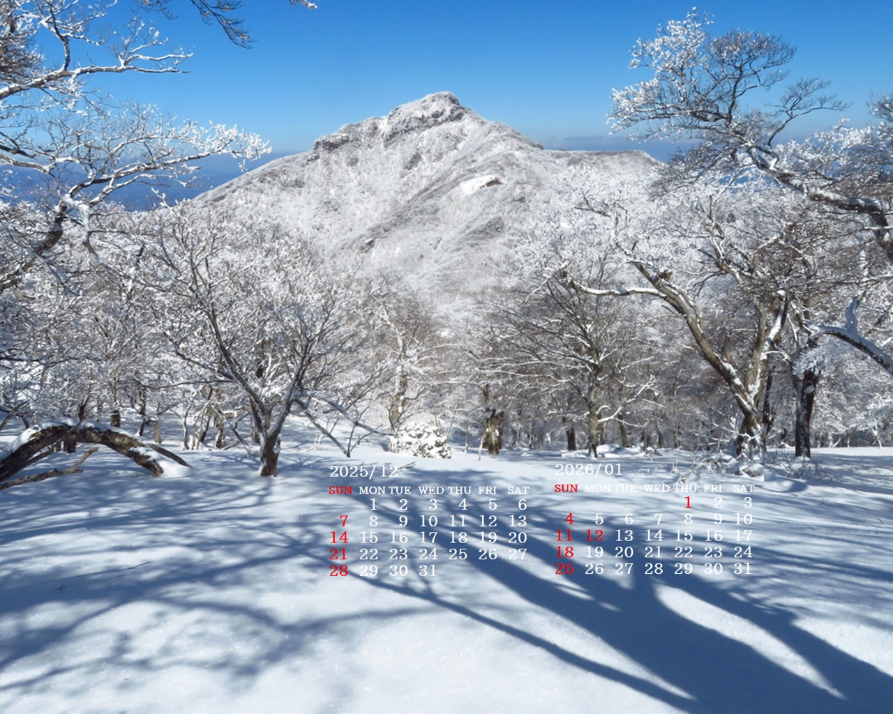 �摜�̏�ŉE�N���b�N���āu�ǎ��ɐݒ�v�A���j���[�ɂȂ��ꍇ�͂�������摜��ۑ����ĉ������B