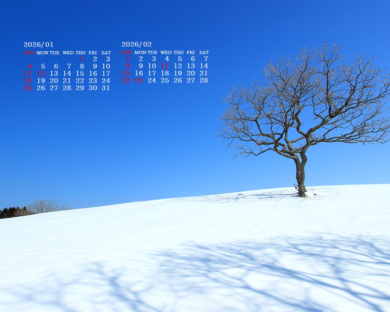 �摜�̏�ŉE�N���b�N���āu�ǎ��ɐݒ�v�A���j���[�ɂȂ��ꍇ�͂�������摜��ۑ����ĉ������B