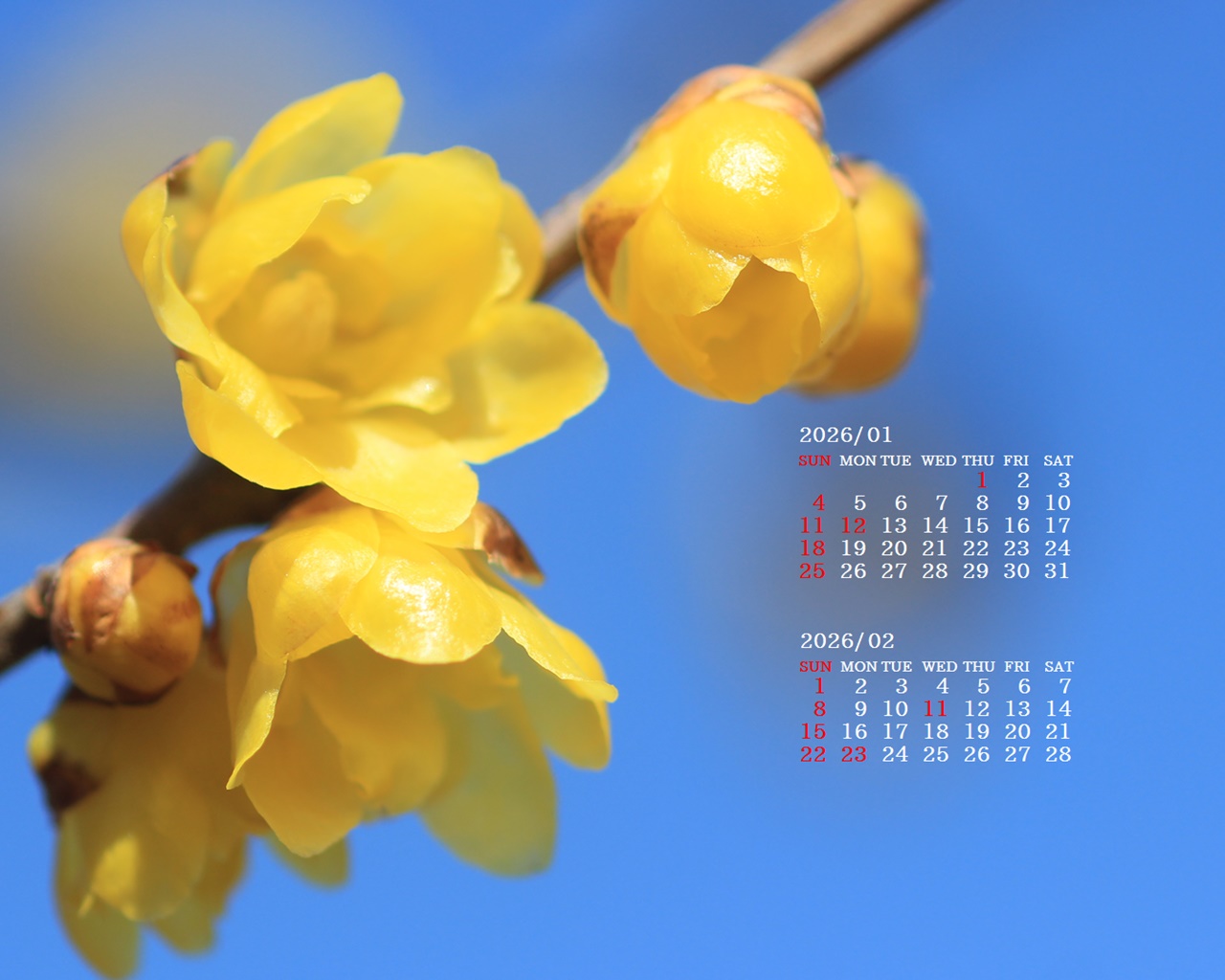 �摜�̏�ŉE�N���b�N���āu�ǎ��ɐݒ�v�A���j���[�ɂȂ��ꍇ�͂�������摜��ۑ����ĉ������B