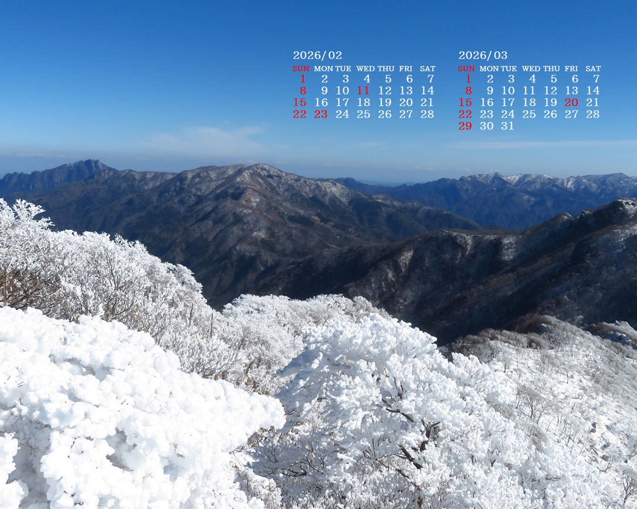 �摜�̏�ŉE�N���b�N���āu�ǎ��ɐݒ�v�A���j���[�ɂȂ��ꍇ�͂�������摜��ۑ����ĉ������B