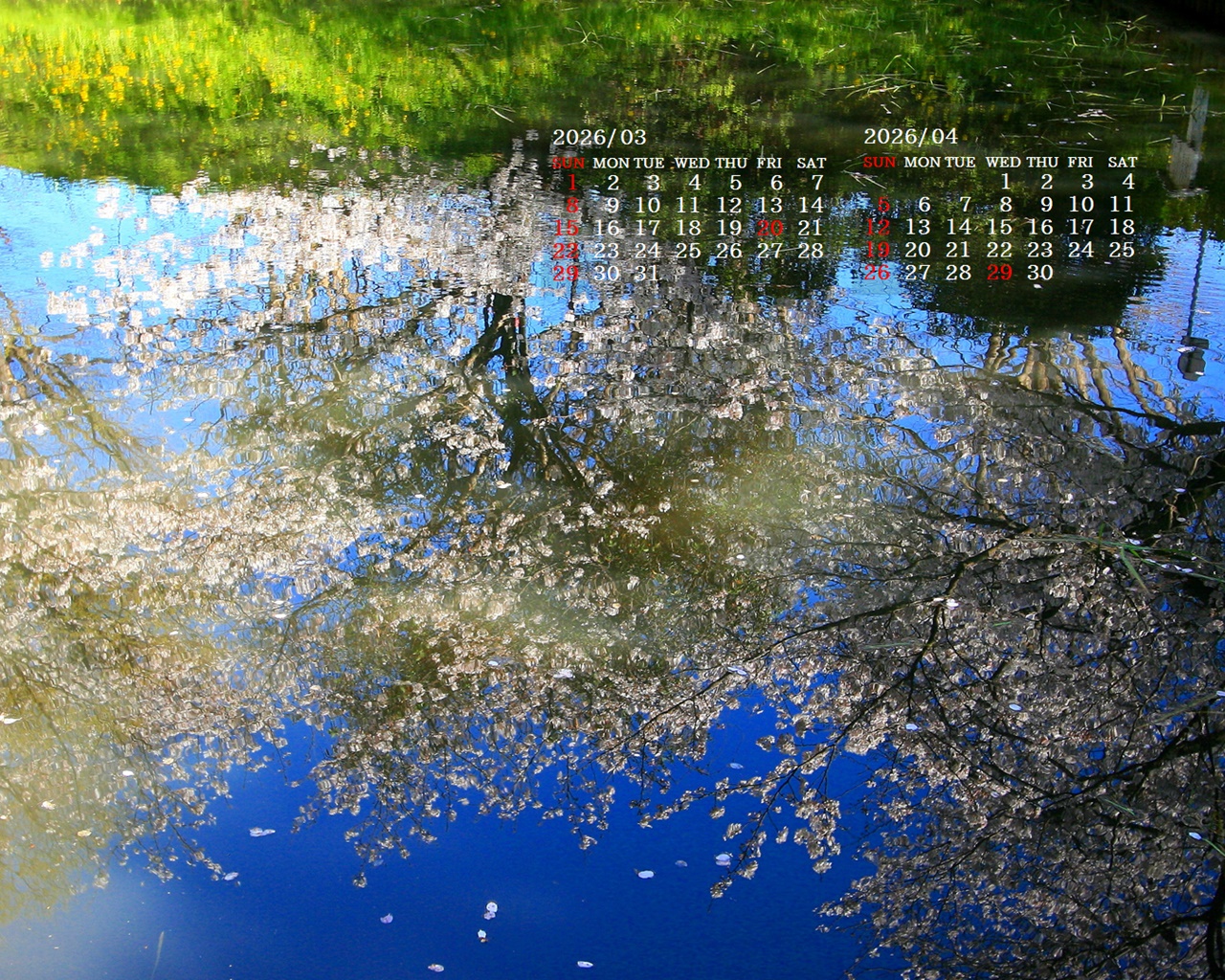 �摜�̏�ŉE�N���b�N���āu�ǎ��ɐݒ�v�A���j���[�ɂȂ��ꍇ�͂�������摜��ۑ����ĉ������B