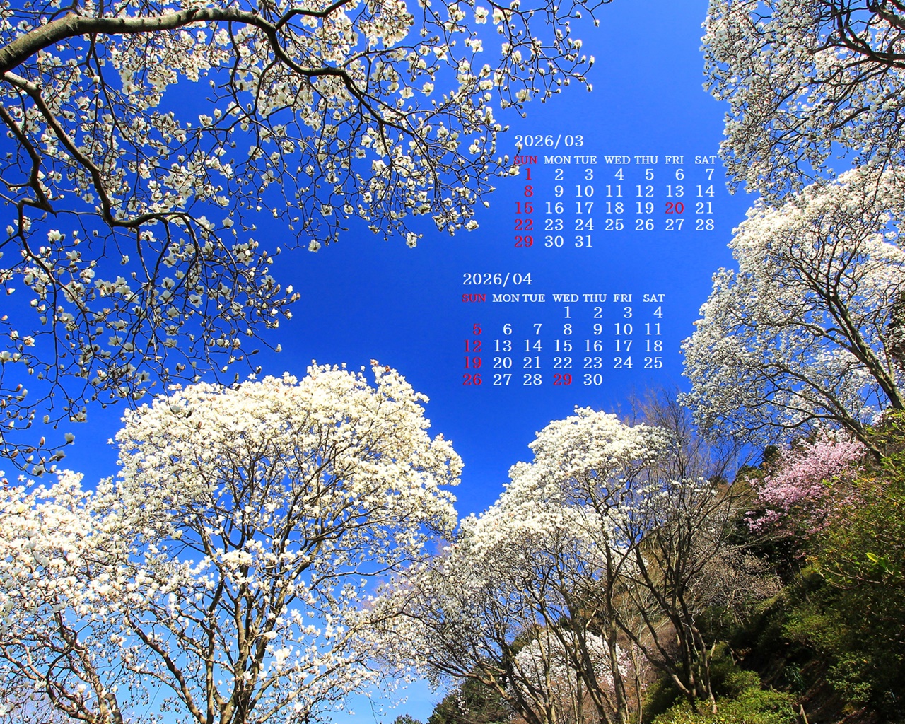 �摜�̏�ŉE�N���b�N���āu�ǎ��ɐݒ�v�A���j���[�ɂȂ��ꍇ�͂�������摜��ۑ����ĉ������B