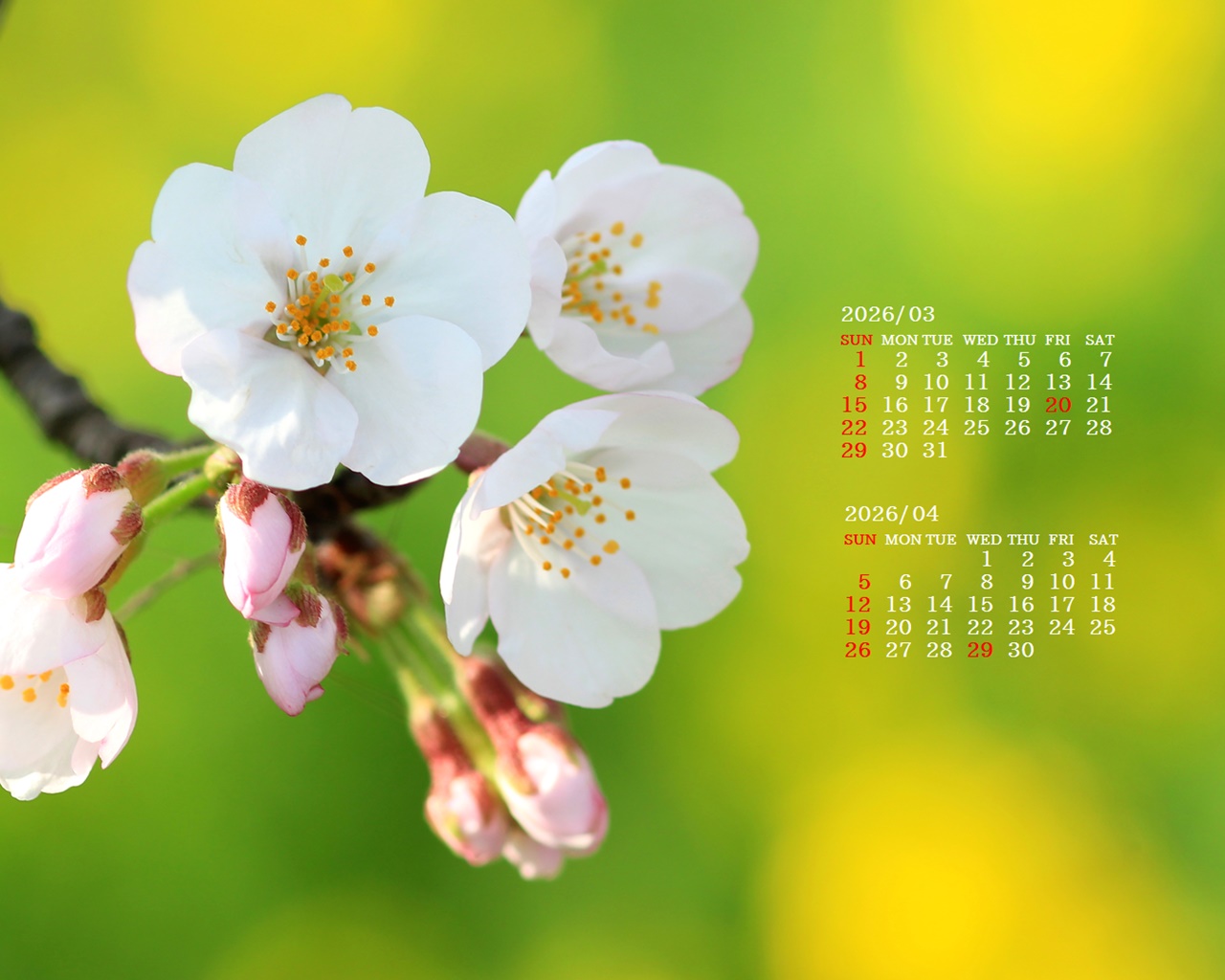 �摜�̏�ŉE�N���b�N���āu�ǎ��ɐݒ�v�A���j���[�ɂȂ��ꍇ�͂�������摜��ۑ����ĉ������B