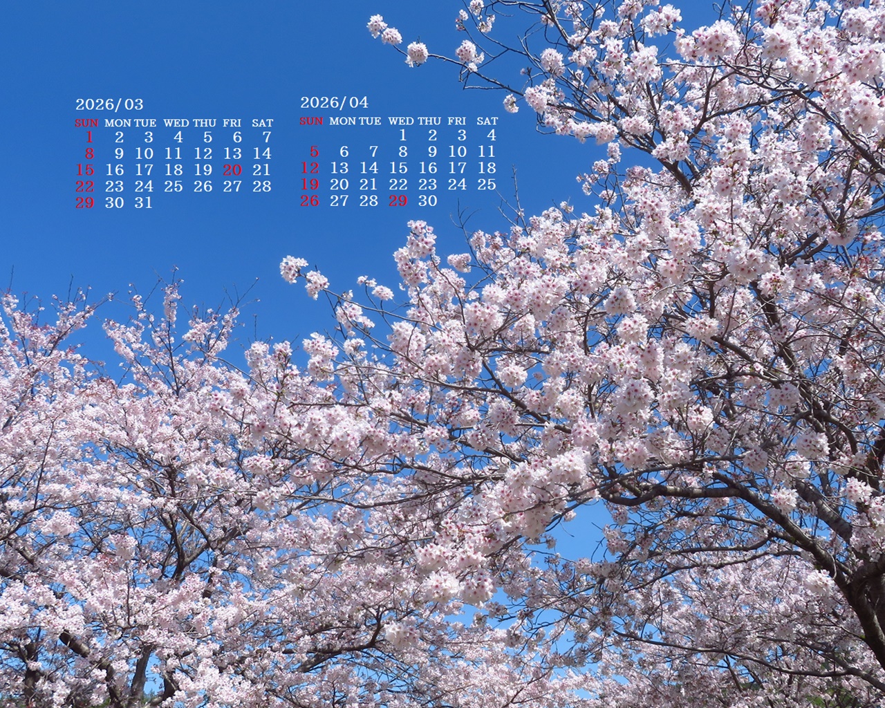 �摜�̏�ŉE�N���b�N���āu�ǎ��ɐݒ�v�A���j���[�ɂȂ��ꍇ�͂�������摜��ۑ����ĉ������B