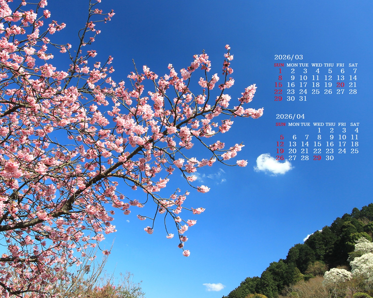 �摜�̏�ŉE�N���b�N���āu�ǎ��ɐݒ�v�A���j���[�ɂȂ��ꍇ�͂�������摜��ۑ����ĉ������B