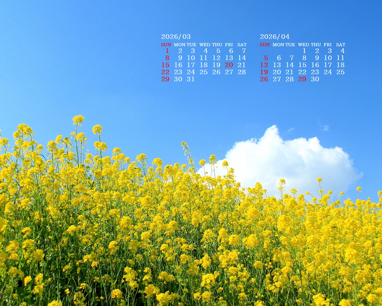 �摜�̏�ŉE�N���b�N���āu�ǎ��ɐݒ�v�A���j���[�ɂȂ��ꍇ�͂�������摜��ۑ����ĉ������B