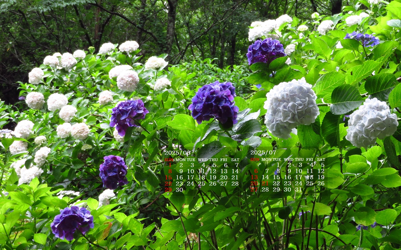 摜̏ŉENbNāuǎɐݒvAj[ɂȂꍇ͂摜ۑĉB