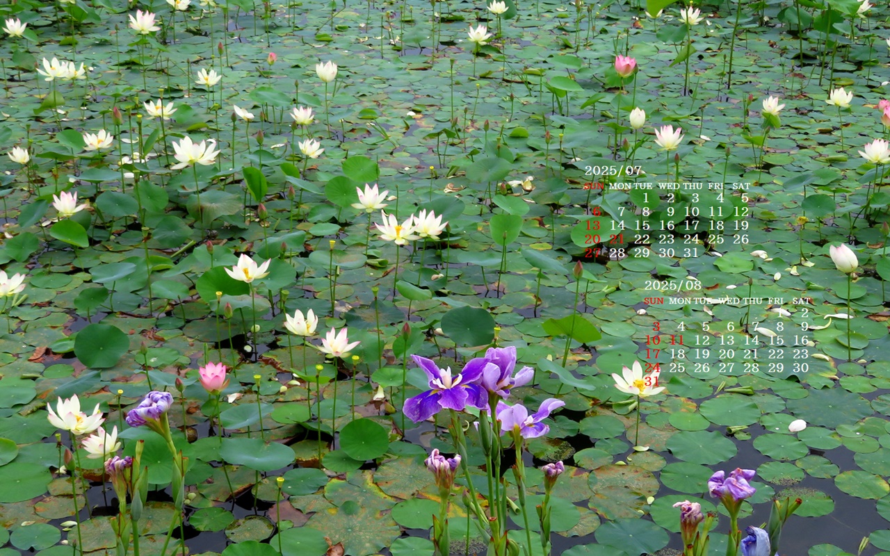 摜̏ŉENbNāuǎɐݒvAj[ɂȂꍇ͂摜ۑĉB