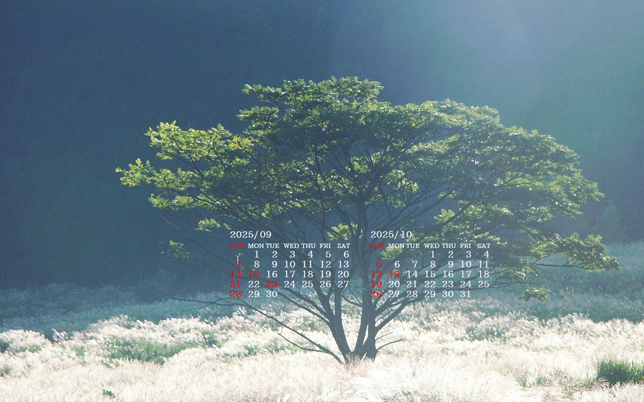 摜̏ŉENbNāuǎɐݒvAj[ɂȂꍇ͂摜ۑĉB