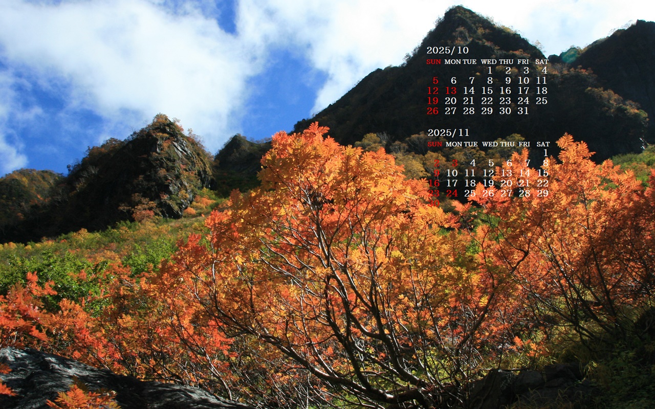 摜̏ŉENbNāuǎɐݒvAj[ɂȂꍇ͂摜ۑĉB