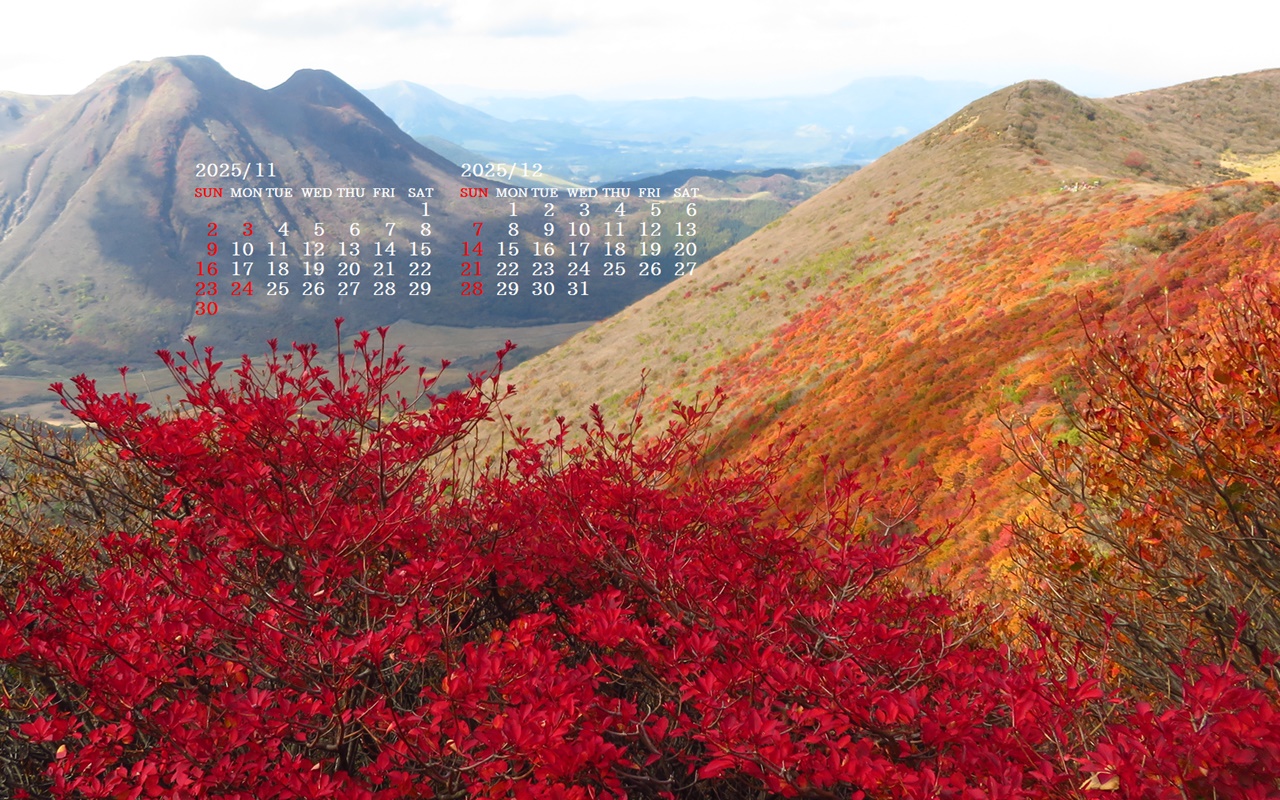 摜̏ŉENbNāuǎɐݒvAj[ɂȂꍇ͂摜ۑĉB