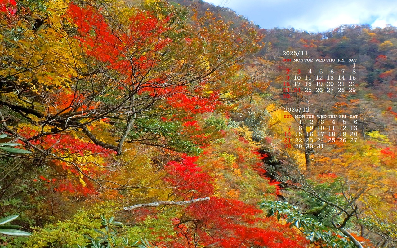 摜̏ŉENbNāuǎɐݒvAj[ɂȂꍇ͂摜ۑĉB