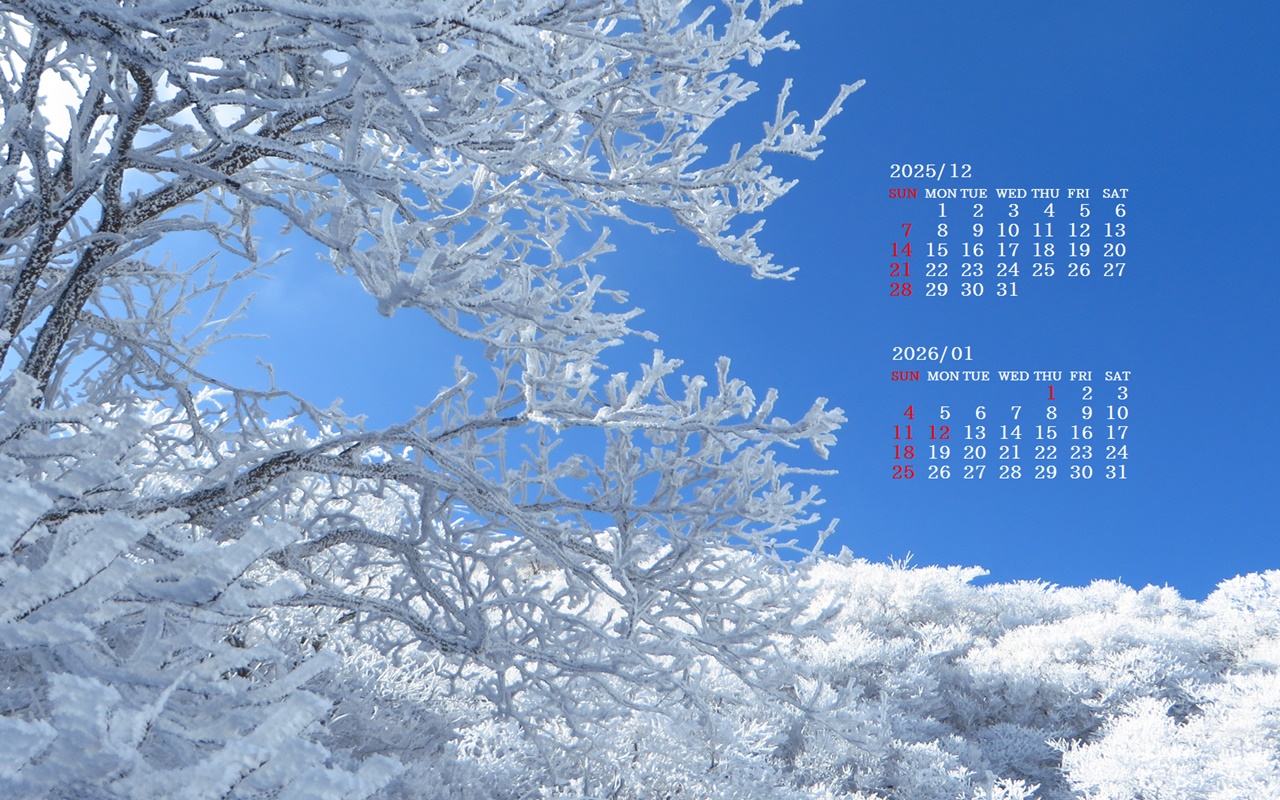 摜̏ŉENbNāuǎɐݒvAj[ɂȂꍇ͂摜ۑĉB