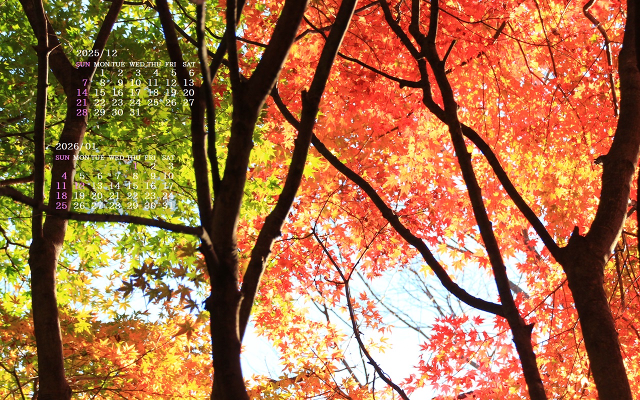 摜̏ŉENbNāuǎɐݒvAj[ɂȂꍇ͂摜ۑĉB