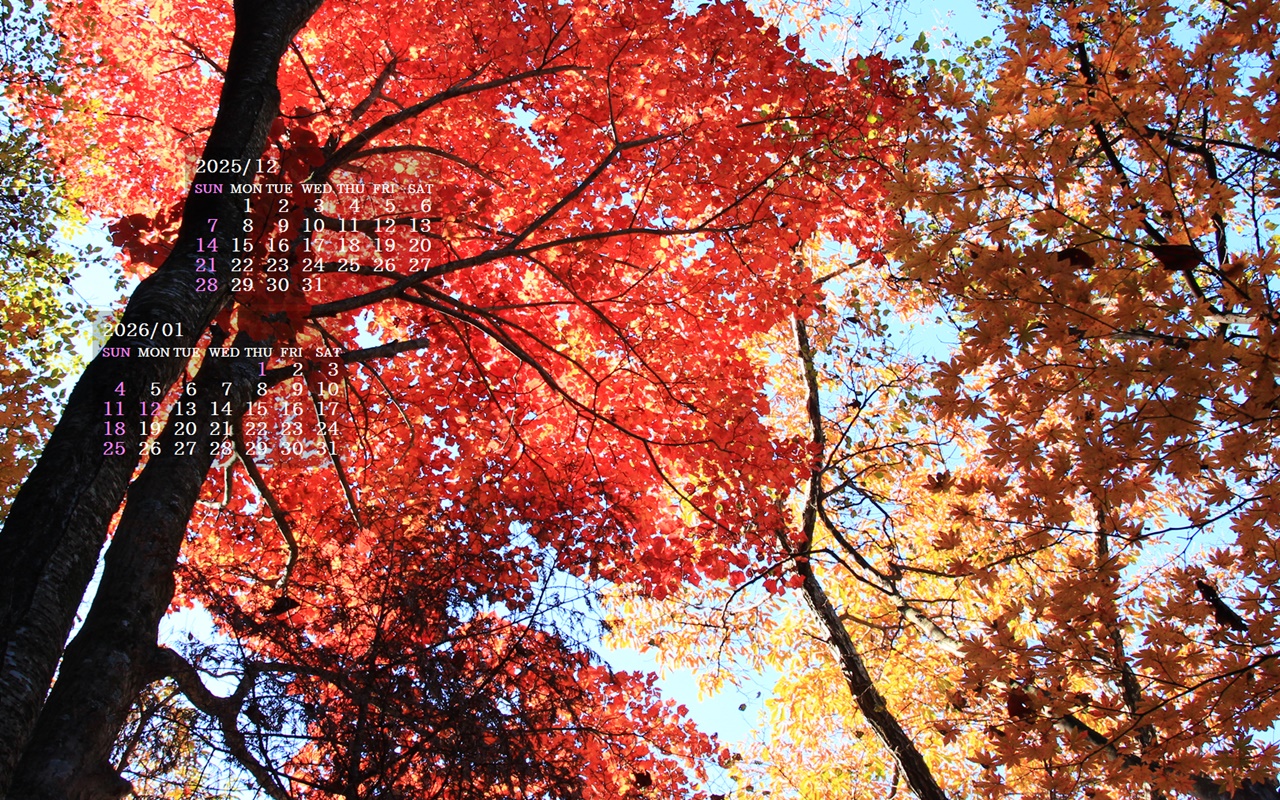 摜̏ŉENbNāuǎɐݒvAj[ɂȂꍇ͂摜ۑĉB