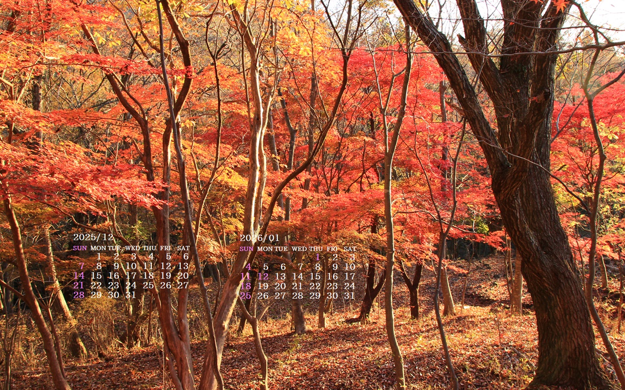 �摜�̏�ŉE�N���b�N���āu�ǎ��ɐݒ�v�A���j���[�ɂȂ��ꍇ�͂�������摜��ۑ����ĉ������B