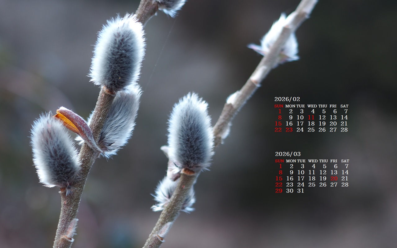 �摜�̏�ŉE�N���b�N���āu�ǎ��ɐݒ�v�A���j���[�ɂȂ��ꍇ�͂�������摜��ۑ����ĉ������B