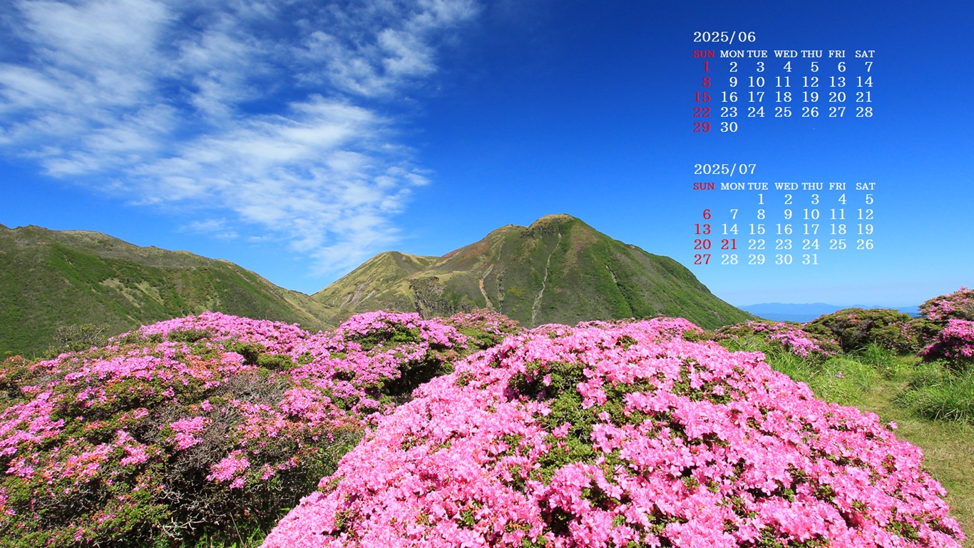 摜̏ŉENbNāuǎɐݒvAj[ɂȂꍇ͂摜ۑĉB