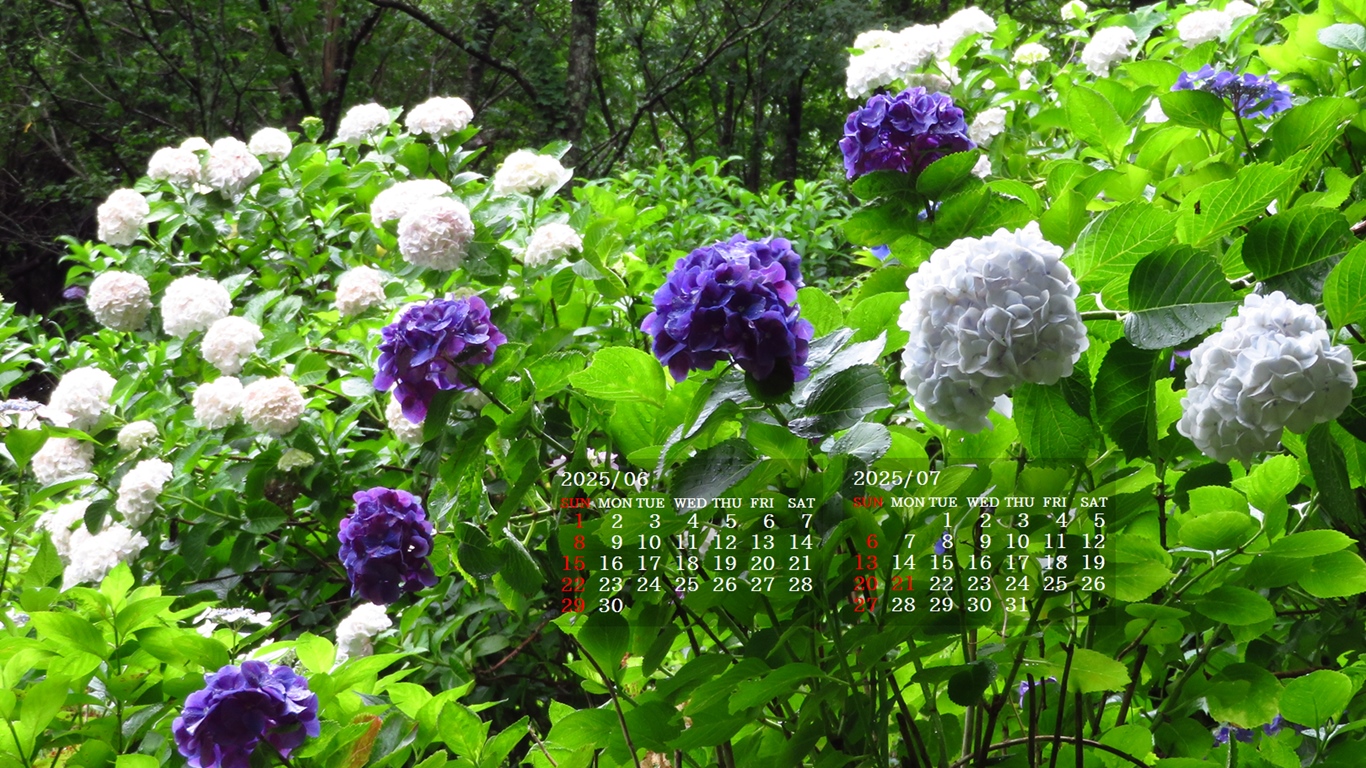 摜̏ŉENbNāuǎɐݒvAj[ɂȂꍇ͂摜ۑĉB