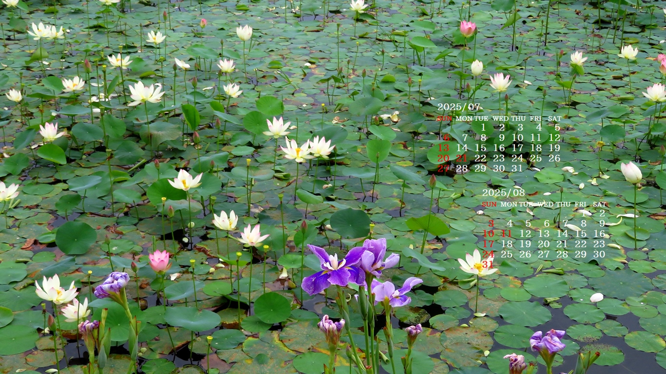 摜̏ŉENbNāuǎɐݒvAj[ɂȂꍇ͂摜ۑĉB