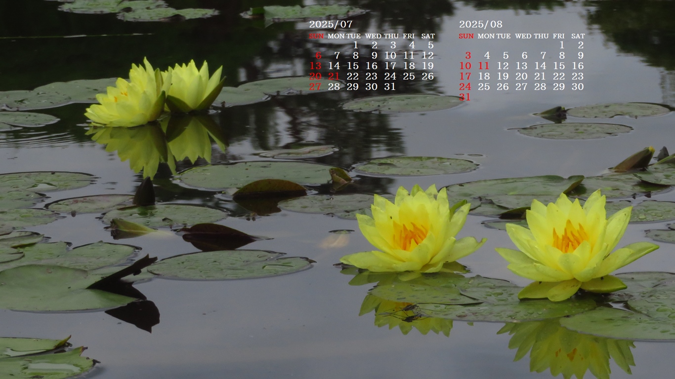 摜̏ŉENbNāuǎɐݒvAj[ɂȂꍇ͂摜ۑĉB