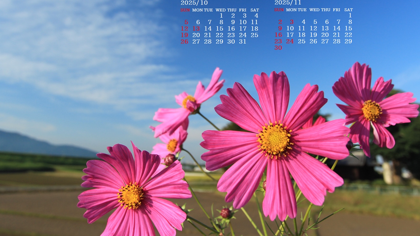 摜̏ŉENbNāuǎɐݒvAj[ɂȂꍇ͂摜ۑĉB