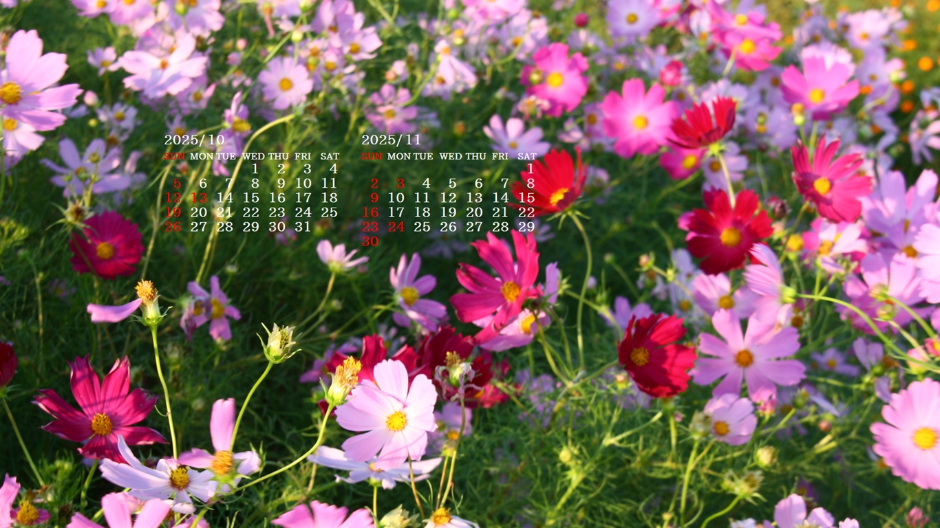 摜̏ŉENbNāuǎɐݒvAj[ɂȂꍇ͂摜ۑĉB