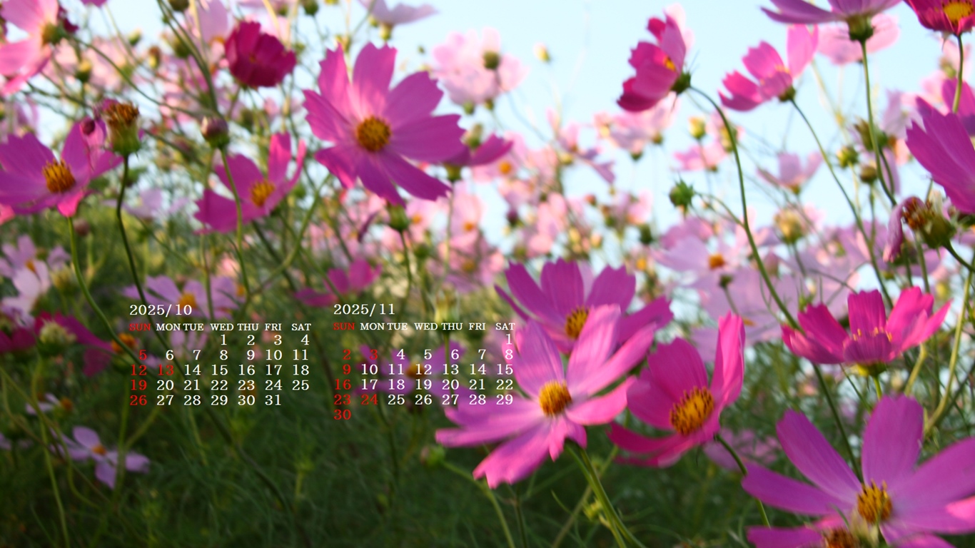 摜̏ŉENbNāuǎɐݒvAj[ɂȂꍇ͂摜ۑĉB