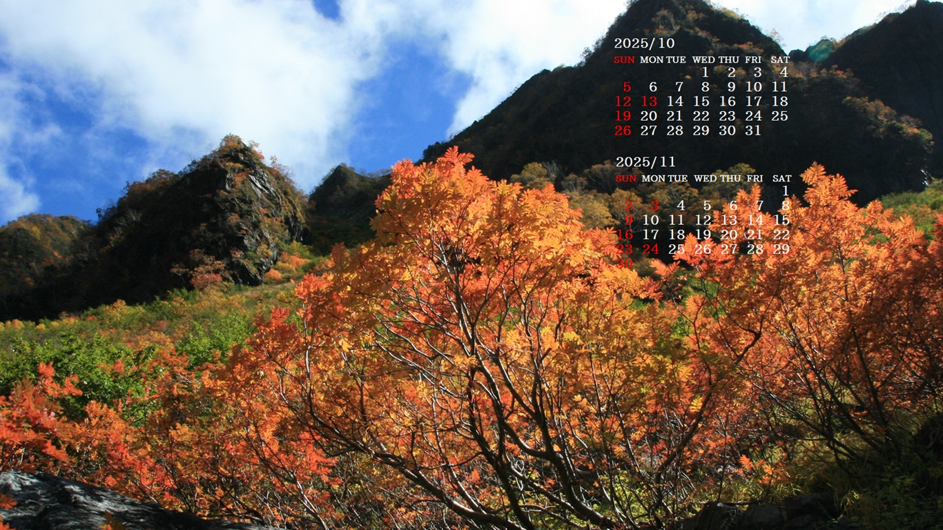 摜̏ŉENbNāuǎɐݒvAj[ɂȂꍇ͂摜ۑĉB