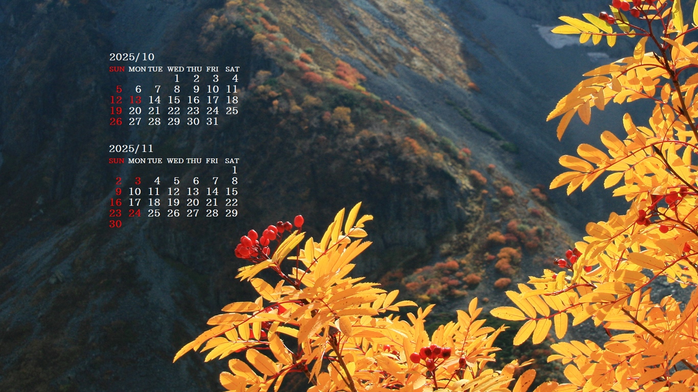 摜̏ŉENbNāuǎɐݒvAj[ɂȂꍇ͂摜ۑĉB