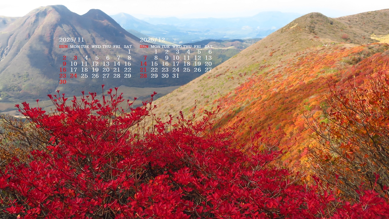 摜̏ŉENbNāuǎɐݒvAj[ɂȂꍇ͂摜ۑĉB