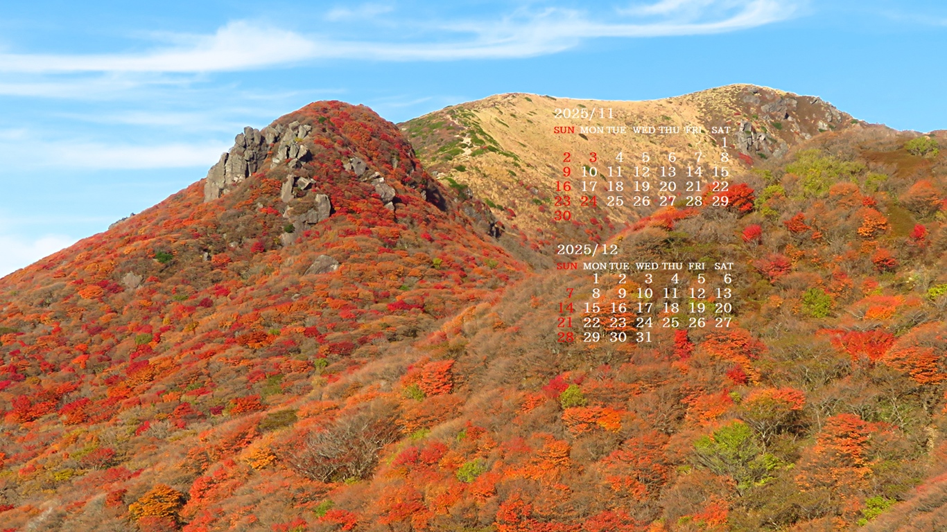 摜̏ŉENbNāuǎɐݒvAj[ɂȂꍇ͂摜ۑĉB