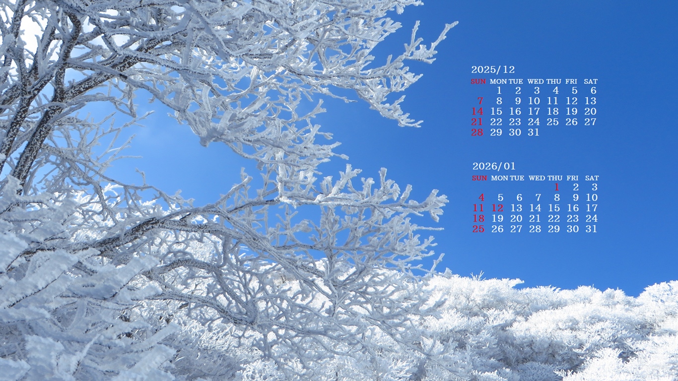 摜̏ŉENbNāuǎɐݒvAj[ɂȂꍇ͂摜ۑĉB