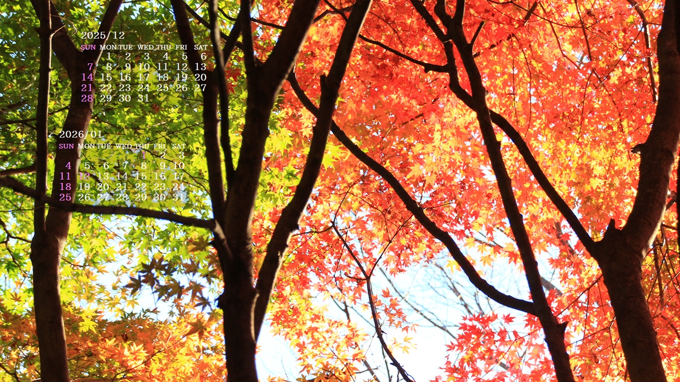 摜̏ŉENbNāuǎɐݒvAj[ɂȂꍇ͂摜ۑĉB