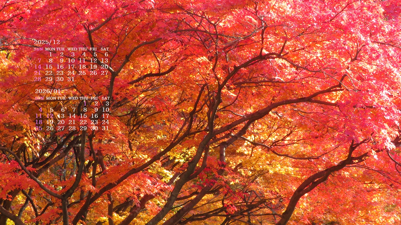 摜̏ŉENbNāuǎɐݒvAj[ɂȂꍇ͂摜ۑĉB