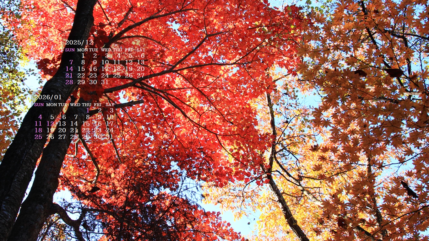 摜̏ŉENbNāuǎɐݒvAj[ɂȂꍇ͂摜ۑĉB