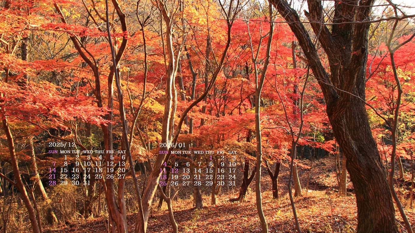 �摜�̏�ŉE�N���b�N���āu�ǎ��ɐݒ�v�A���j���[�ɂȂ��ꍇ�͂�������摜��ۑ����ĉ������B