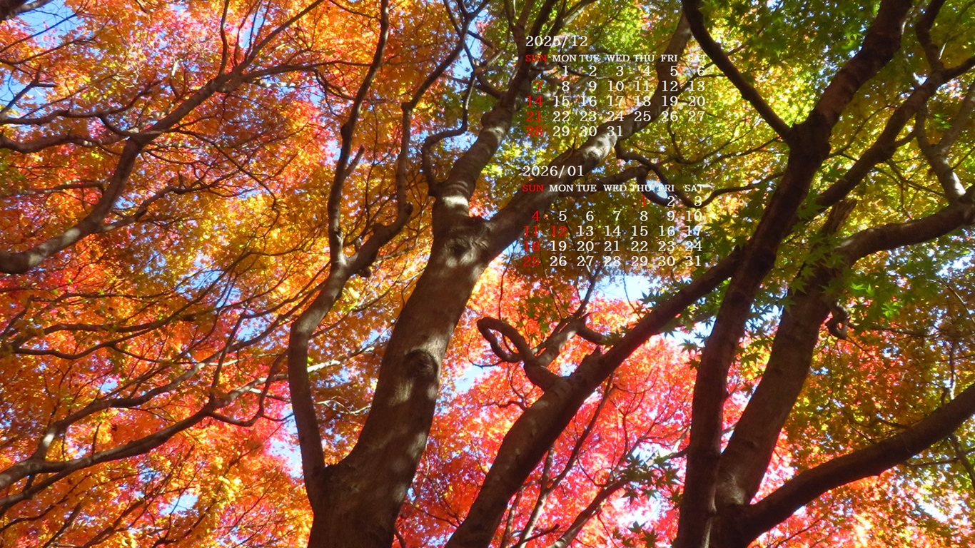 �摜�̏�ŉE�N���b�N���āu�ǎ��ɐݒ�v�A���j���[�ɂȂ��ꍇ�͂�������摜��ۑ����ĉ������B