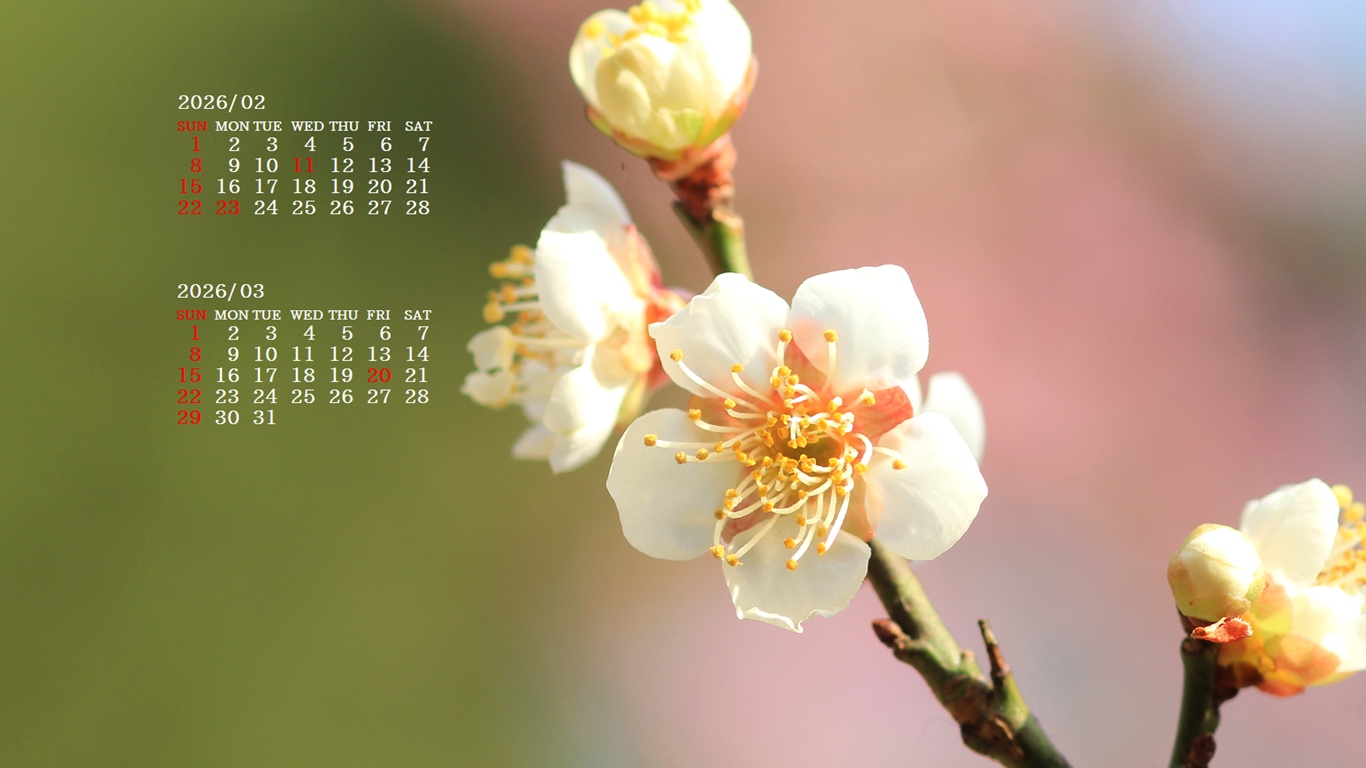 �摜�̏�ŉE�N���b�N���āu�ǎ��ɐݒ�v�A���j���[�ɂȂ��ꍇ�͂�������摜��ۑ����ĉ������B