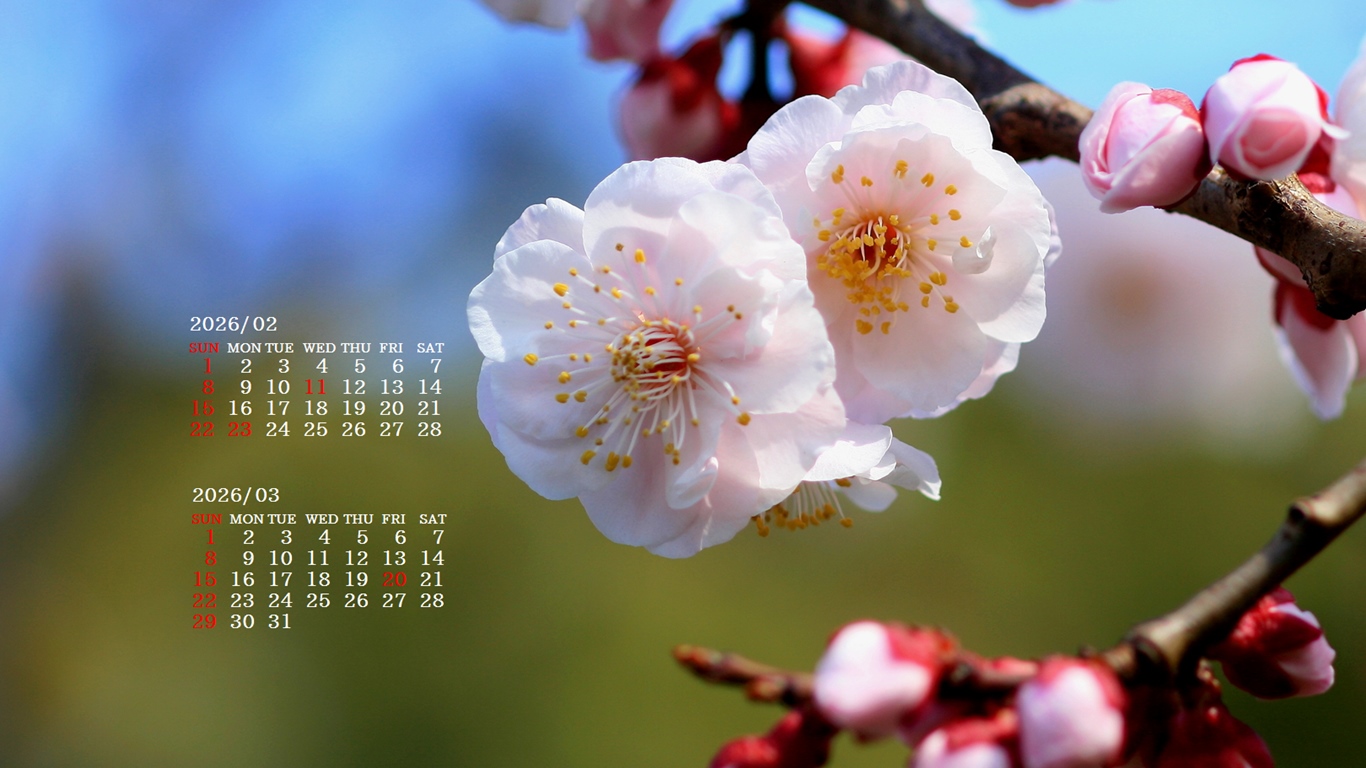 �摜�̏�ŉE�N���b�N���āu�ǎ��ɐݒ�v�A���j���[�ɂȂ��ꍇ�͂�������摜��ۑ����ĉ������B