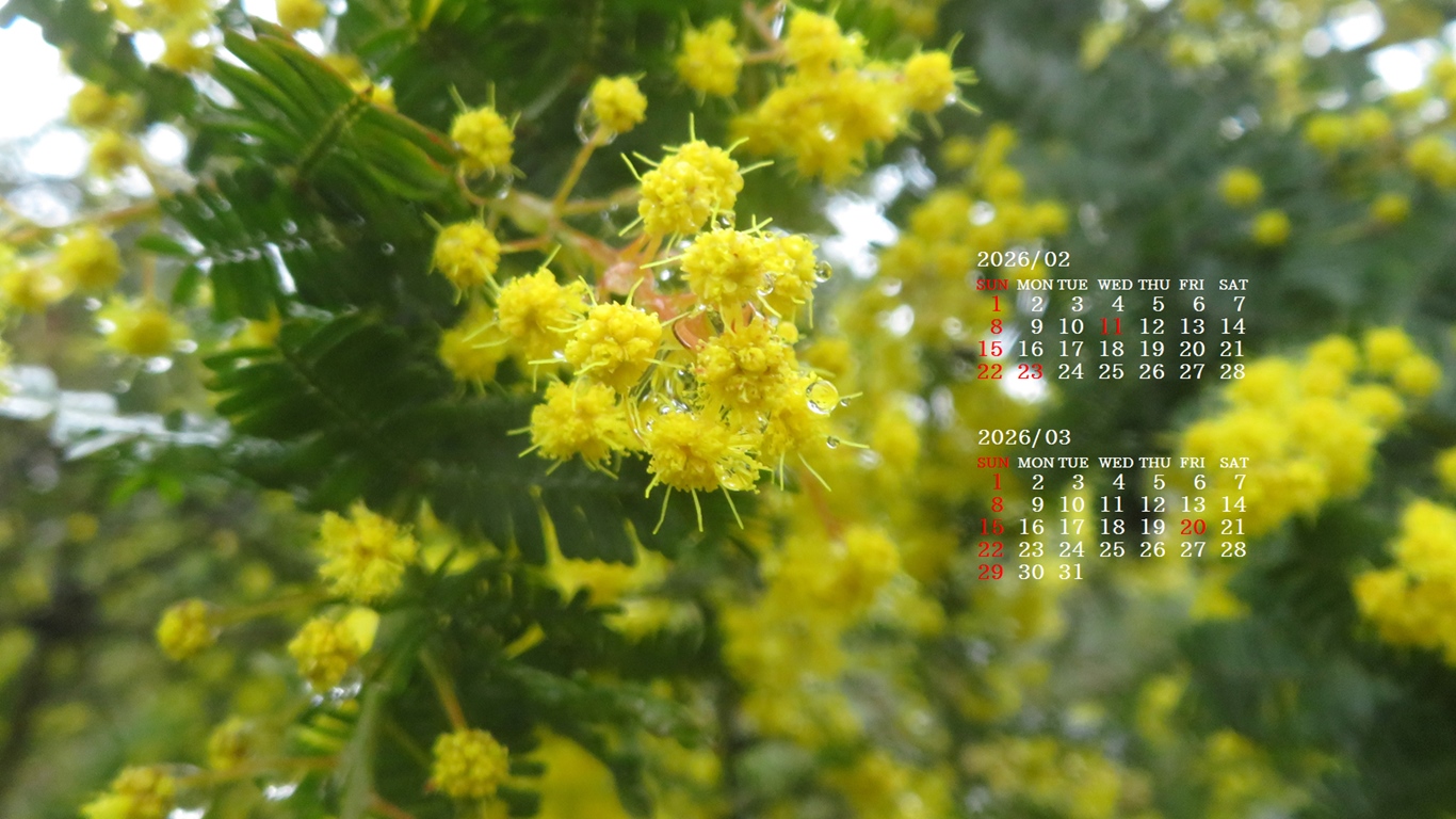 �摜�̏�ŉE�N���b�N���āu�ǎ��ɐݒ�v�A���j���[�ɂȂ��ꍇ�͂�������摜��ۑ����ĉ������B