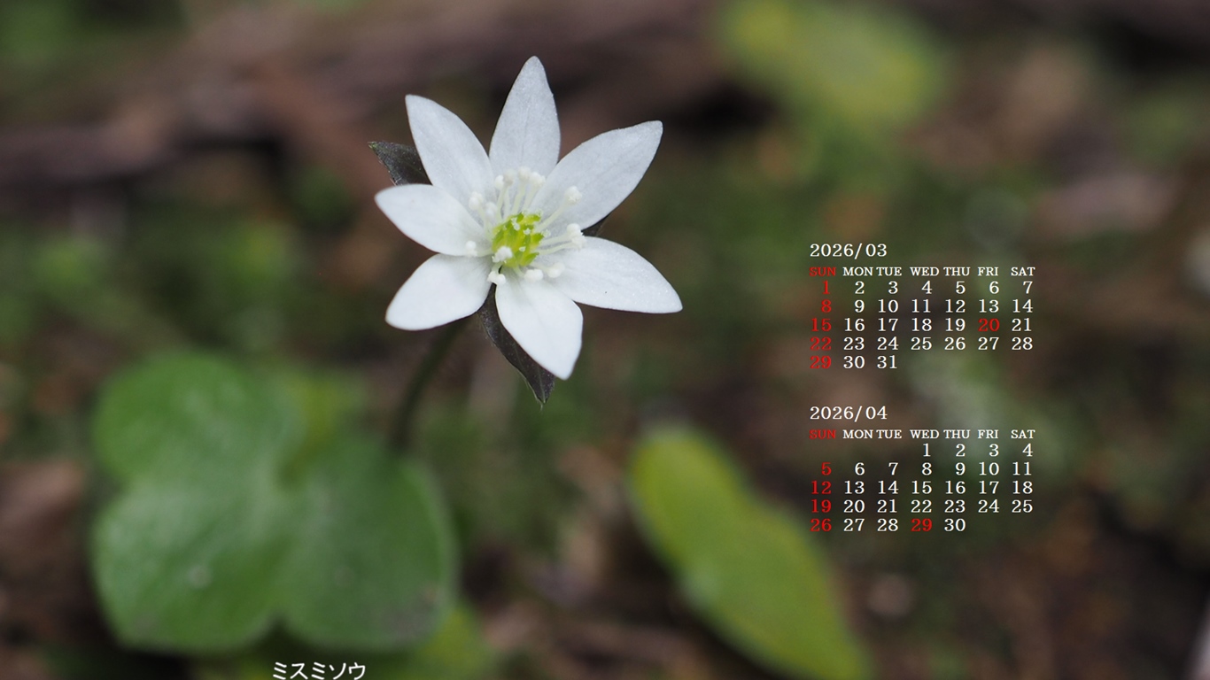 �摜�̏�ŉE�N���b�N���āu�ǎ��ɐݒ�v�A���j���[�ɂȂ��ꍇ�͂�������摜��ۑ����ĉ������B